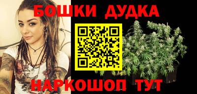 индика Пушкино