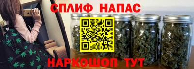 индика Пушкино