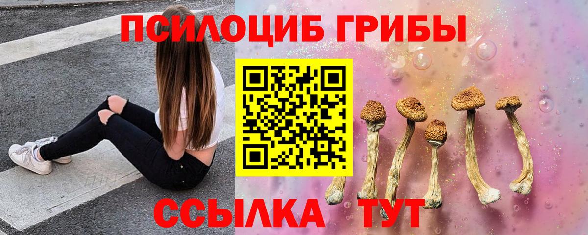 Галлюциногенные грибы Psilocybine cubensis Новомосковск