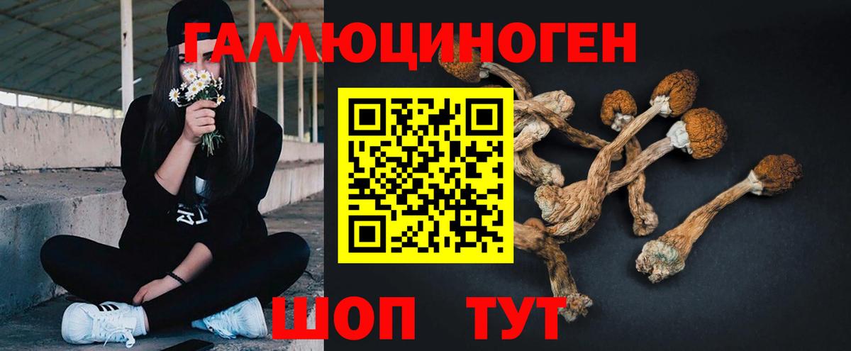 Новомосковск  Галлюциногенные грибы Cubensis  Вход с VPN  Галлюциногенные грибы Psilocybe 
